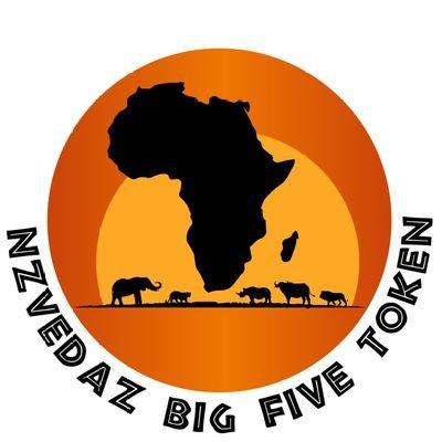 The Big Five Token logo