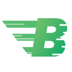 BitcashPay (Old) logo