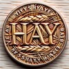 HayCoin logo