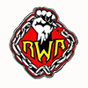 Real World Assets logo